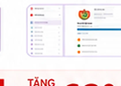 Bài tập và minitest